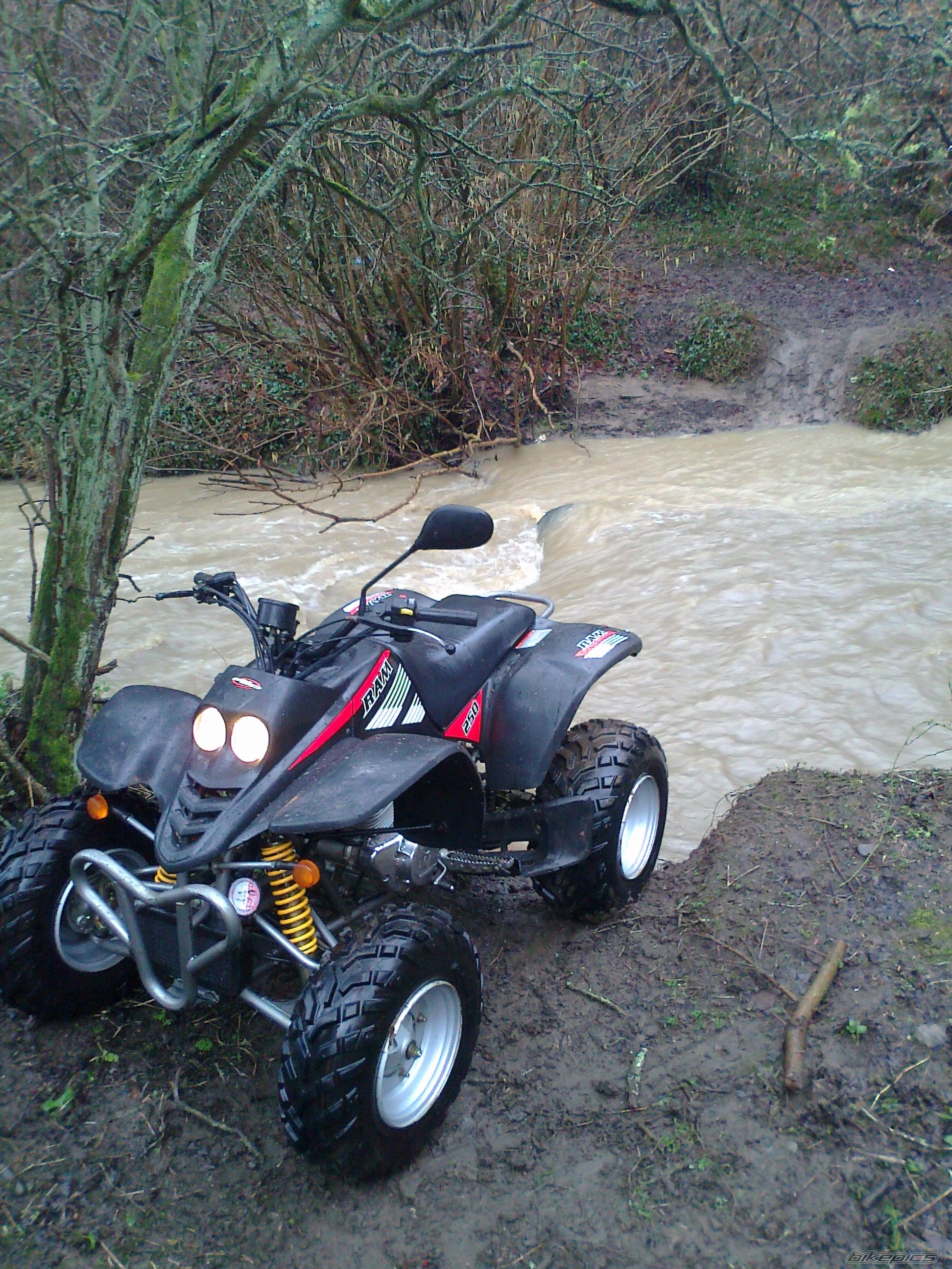 Photo 2358806