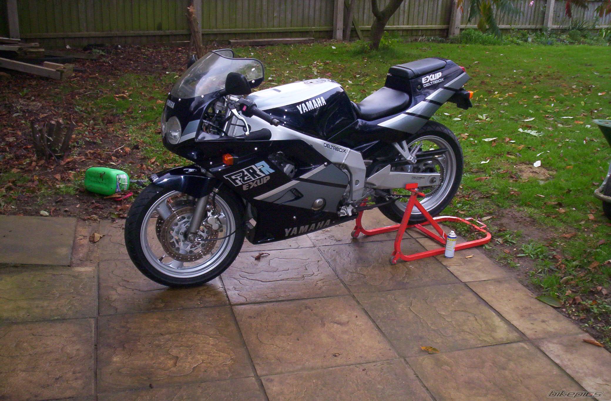 Photo 235891