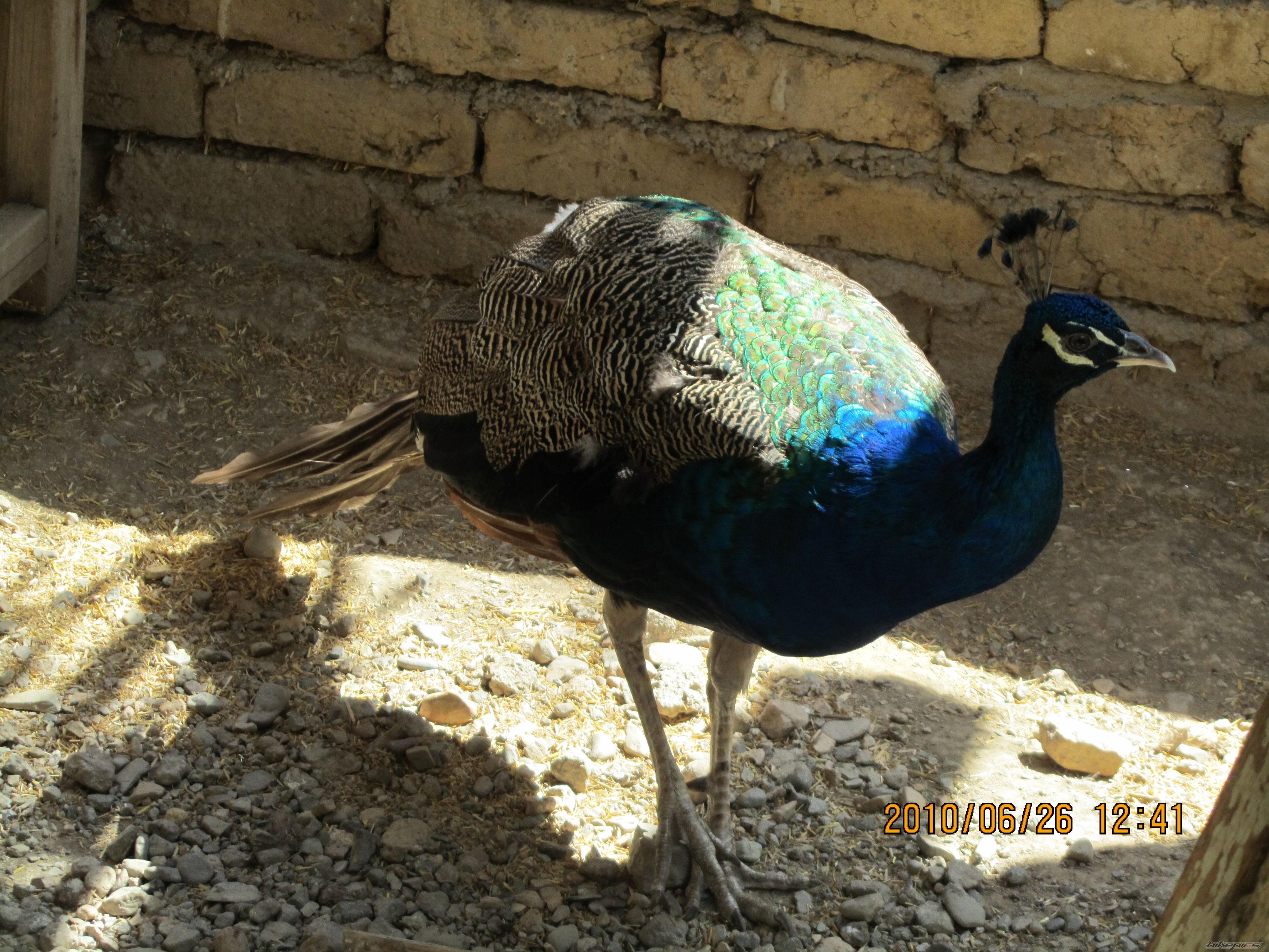 Photo 2359132