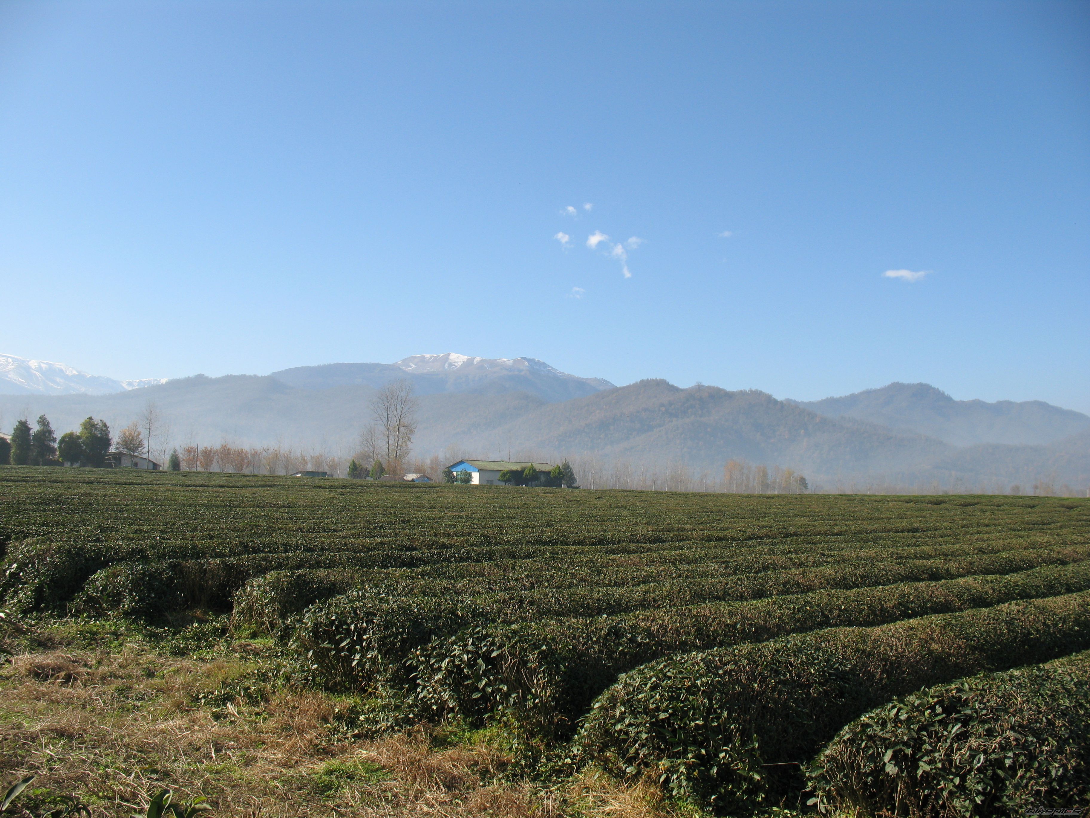 Photo 2359174