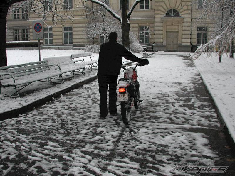 Photo 235925