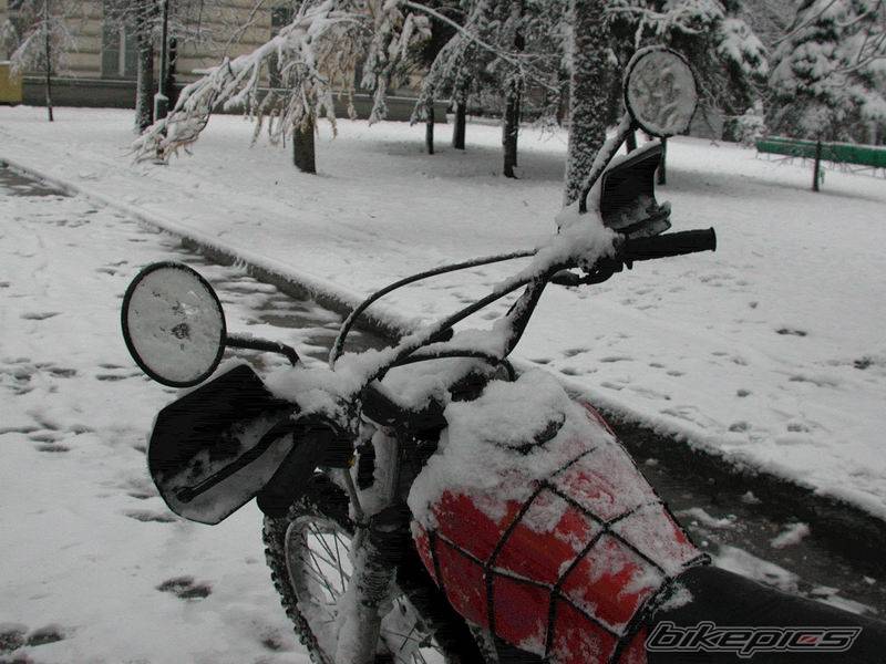 Photo 235929