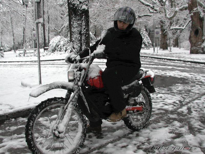 Photo 235930