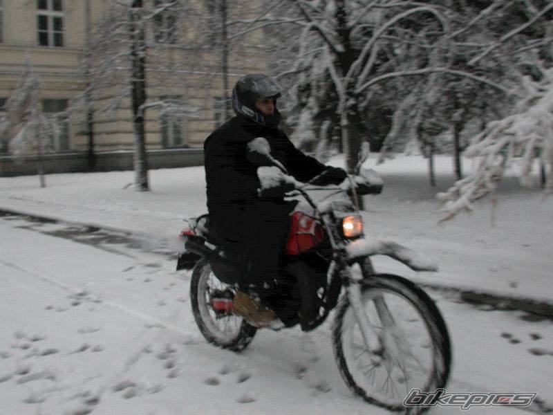 Photo 235931