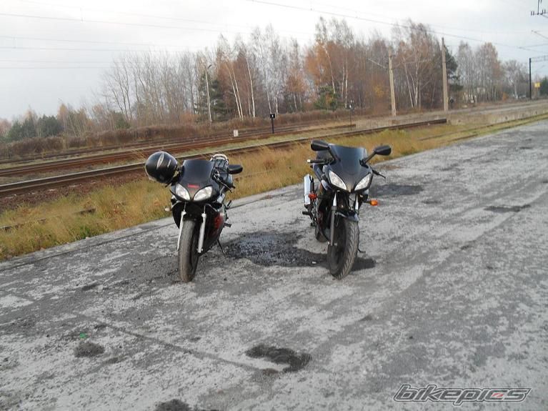 Photo 2359318