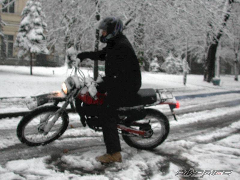 Photo 235935