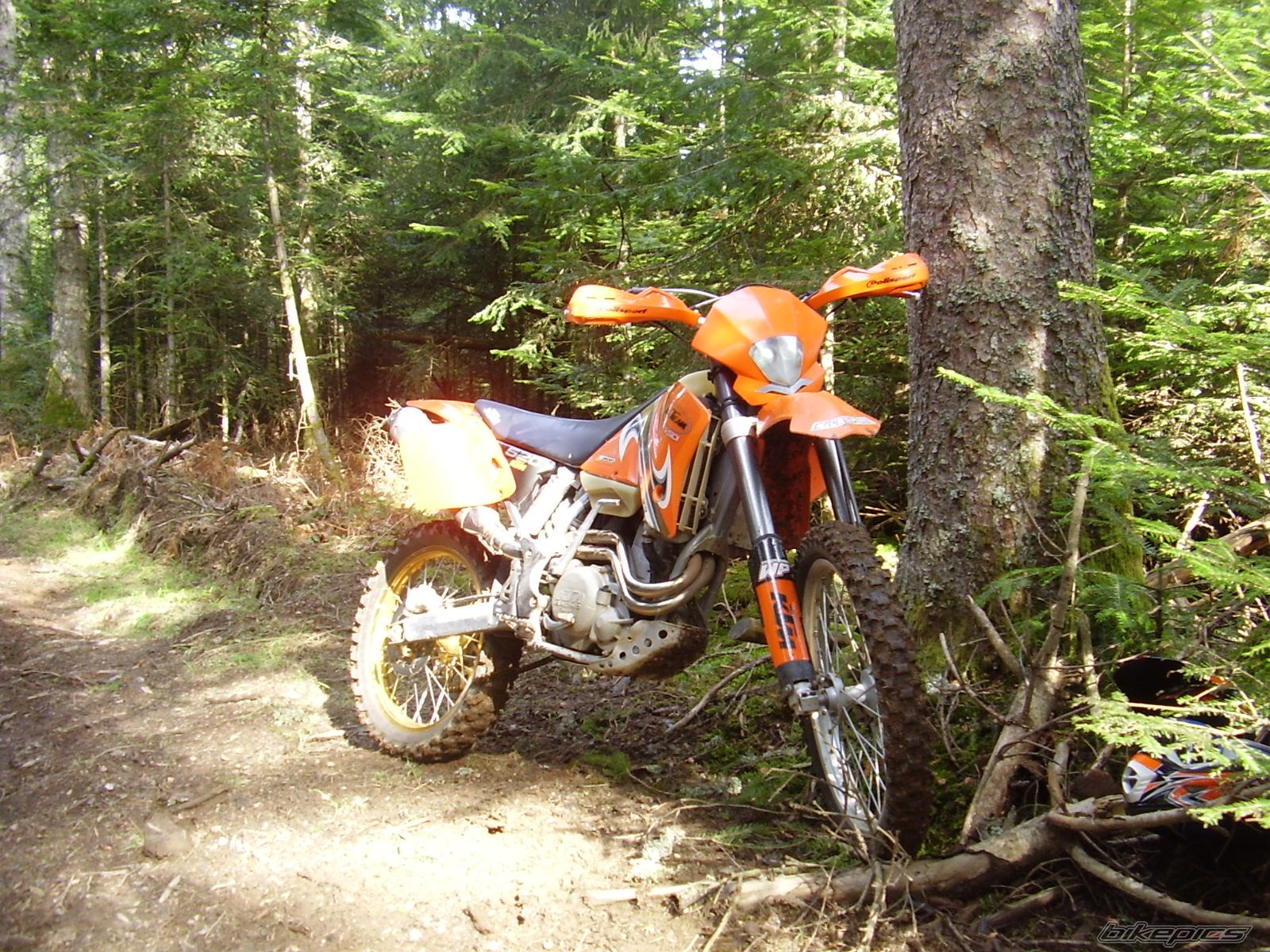 Photo 2359350