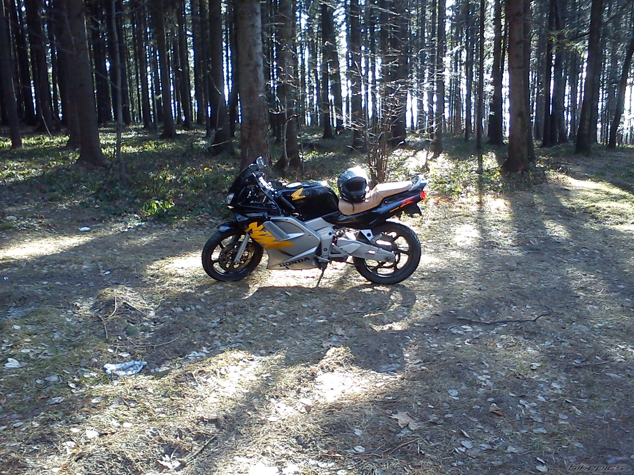 Photo 2359362