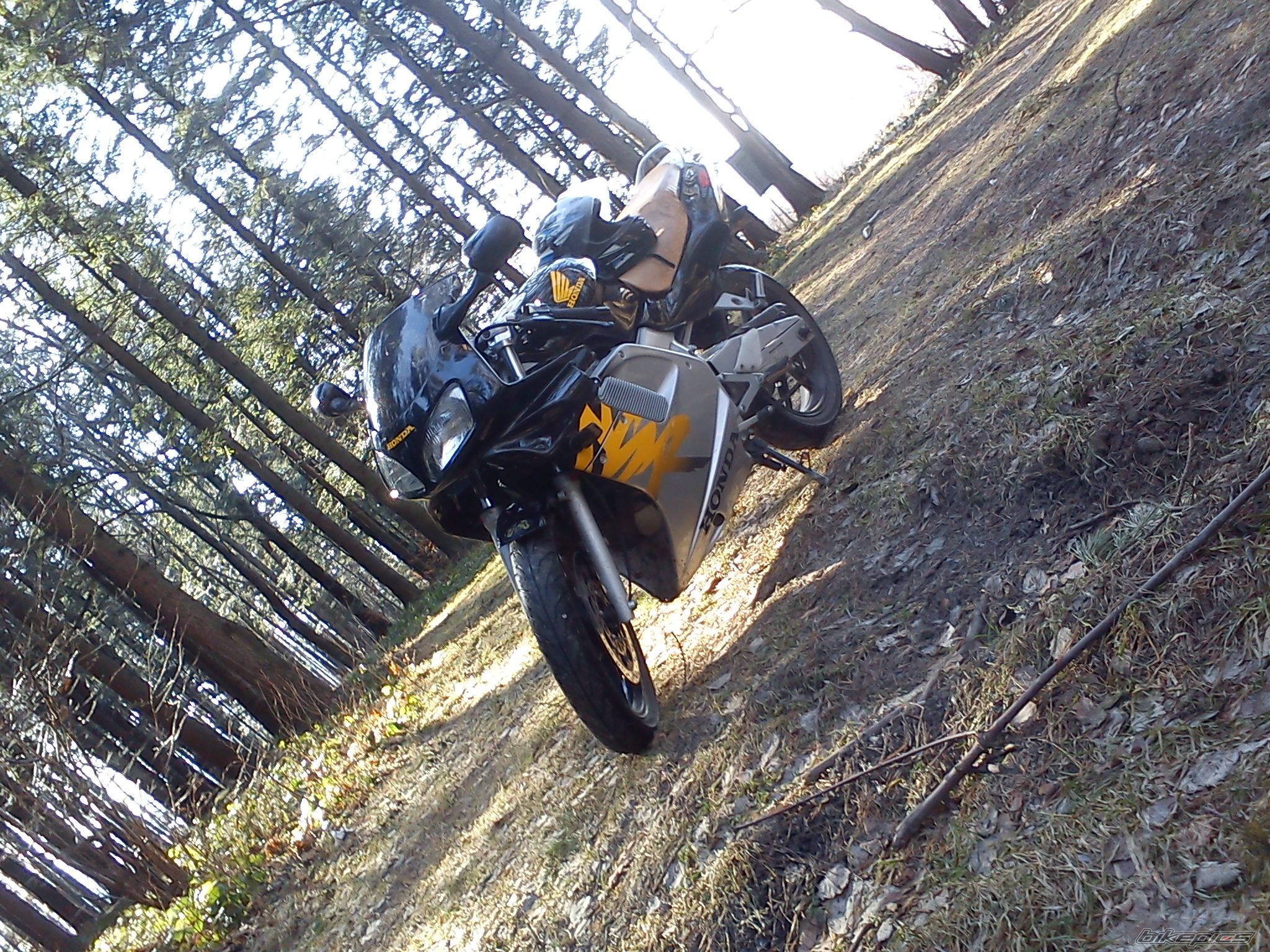 Photo 2359363