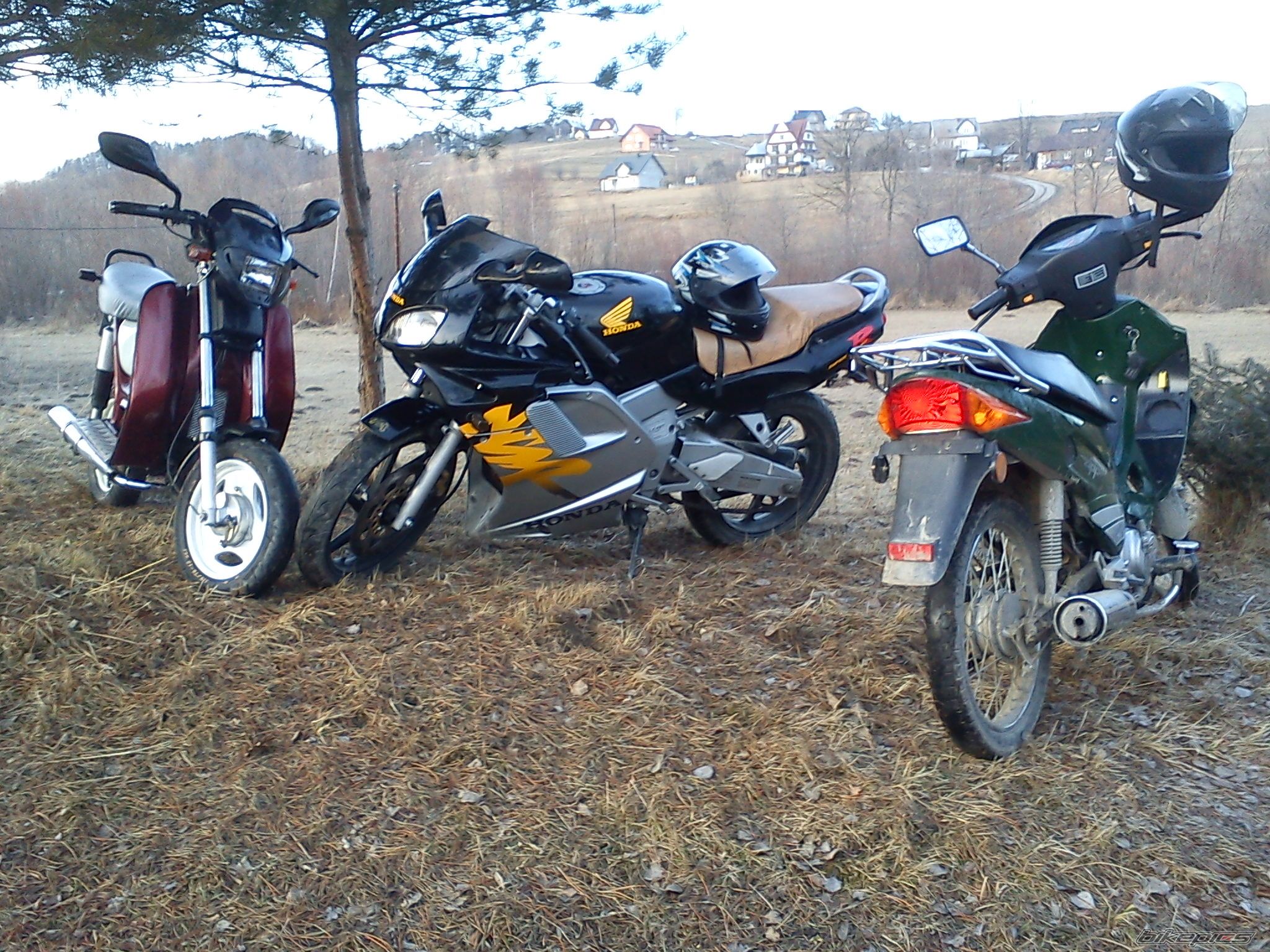 Photo 2359371