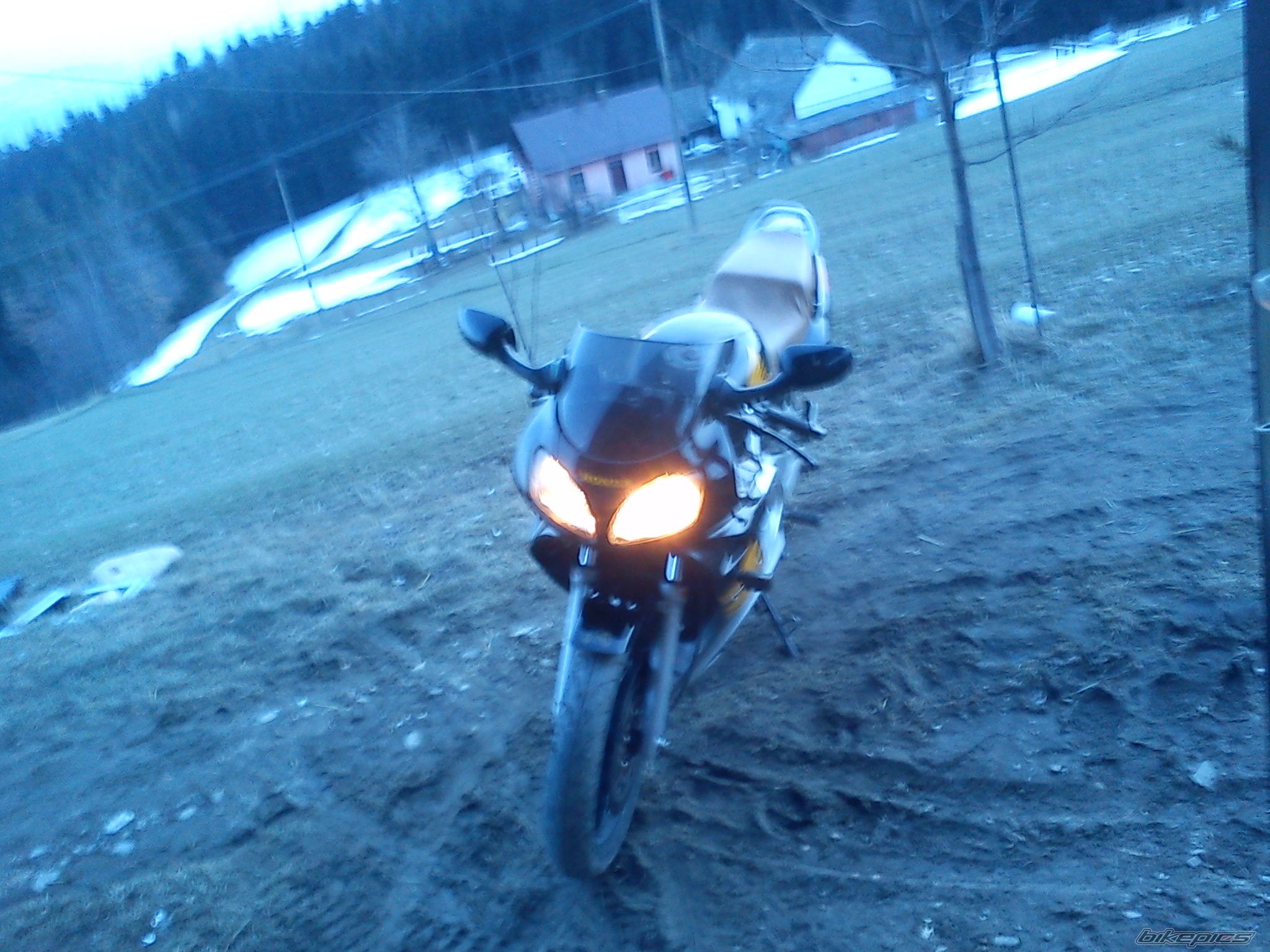 Photo 2359387