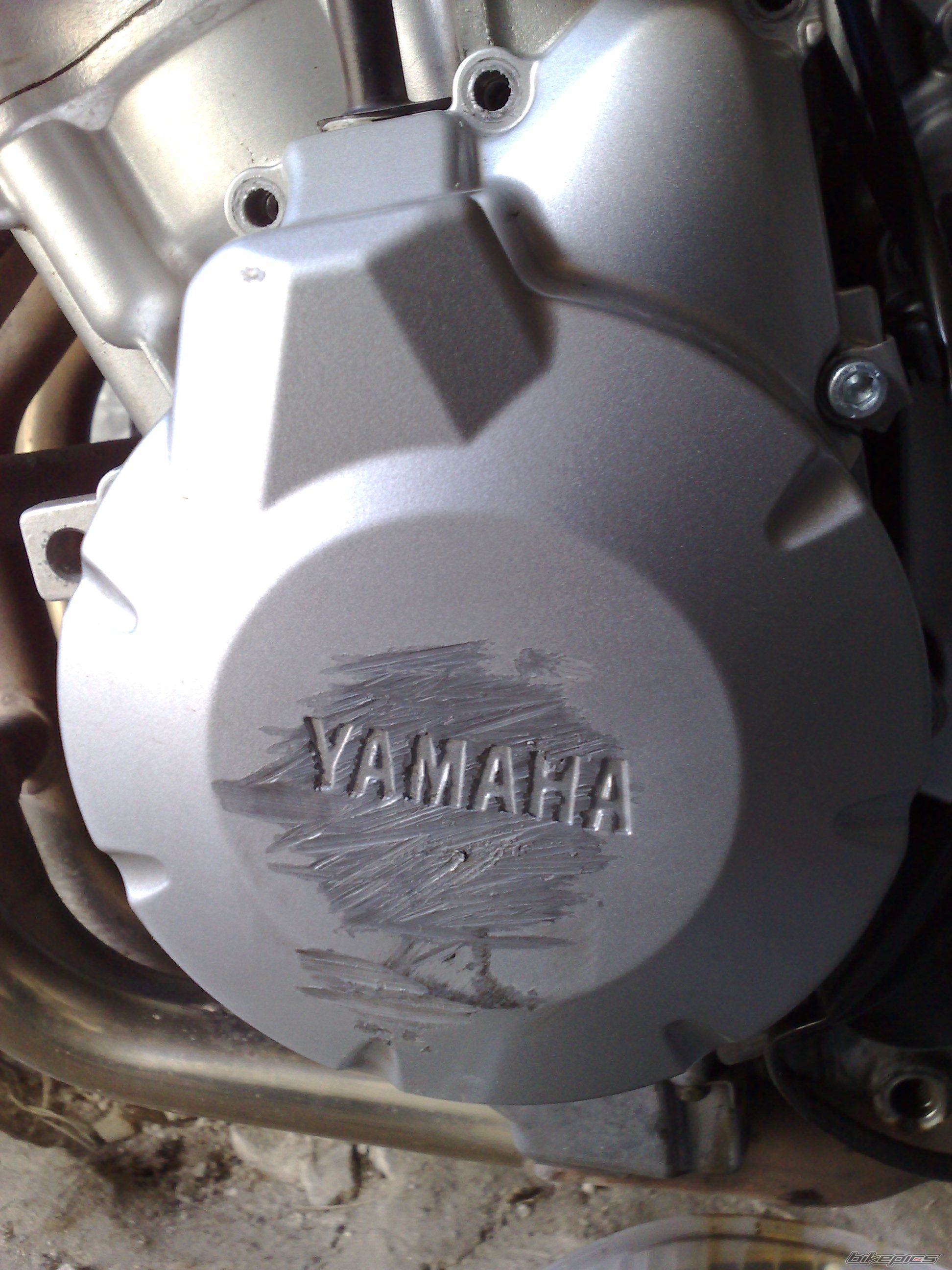 Photo 2359392