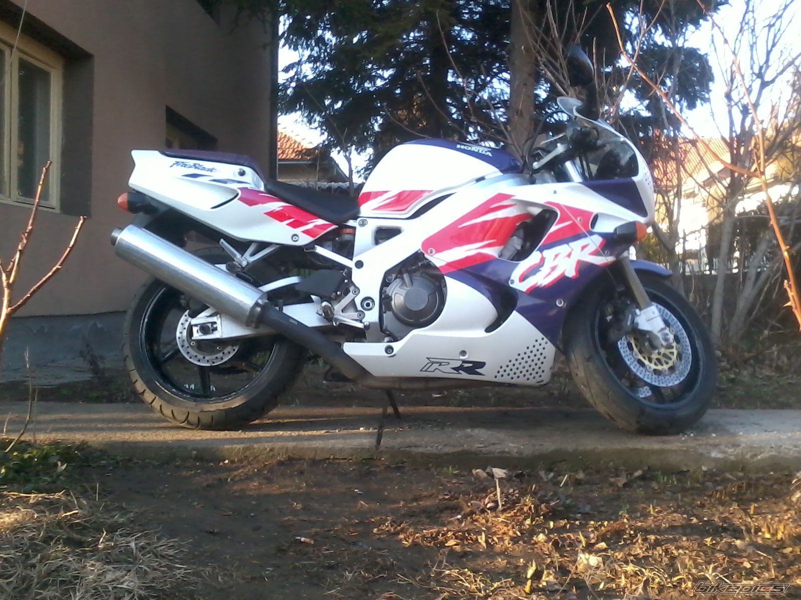 Photo 2359393
