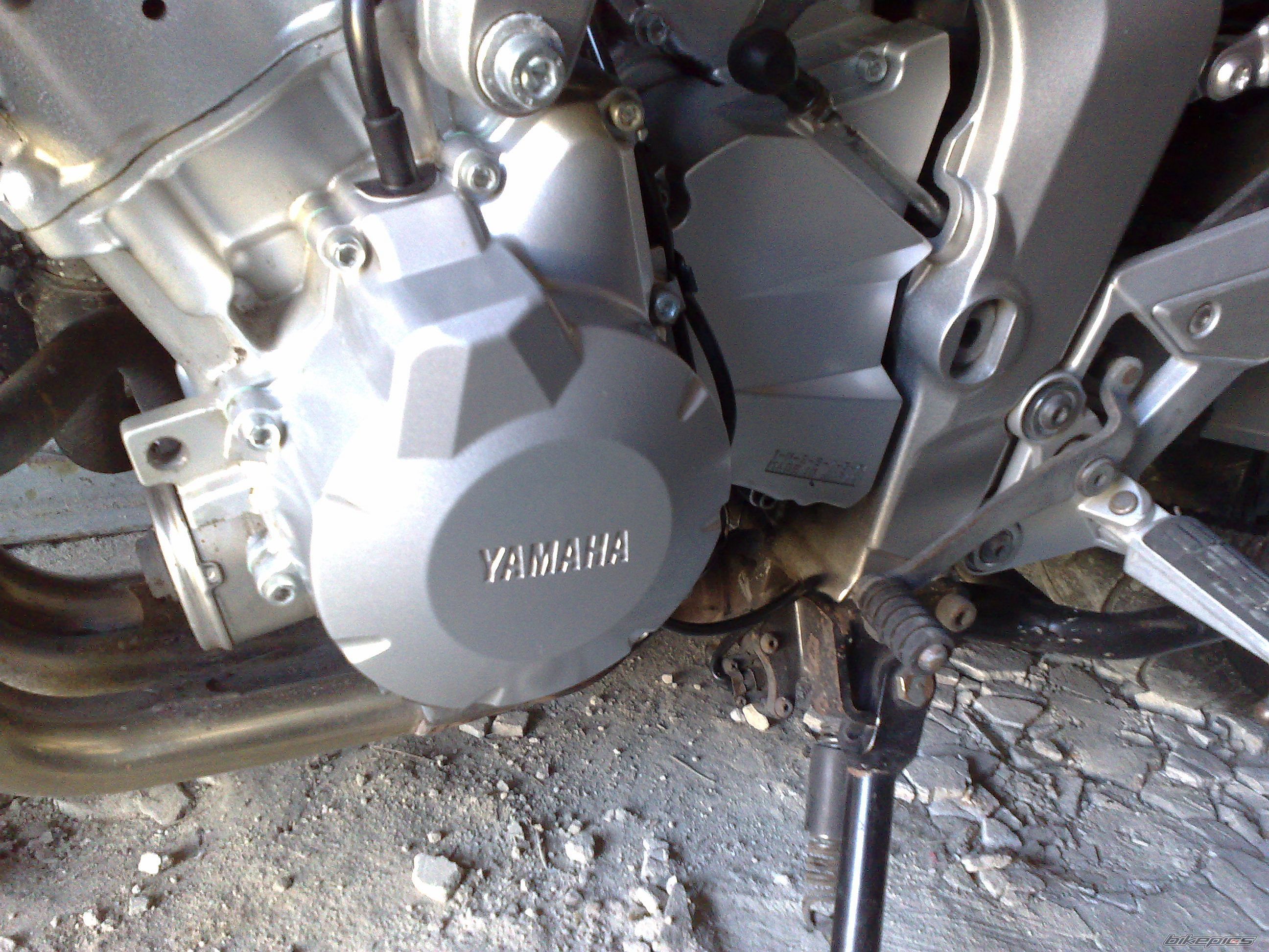 Photo 2359394