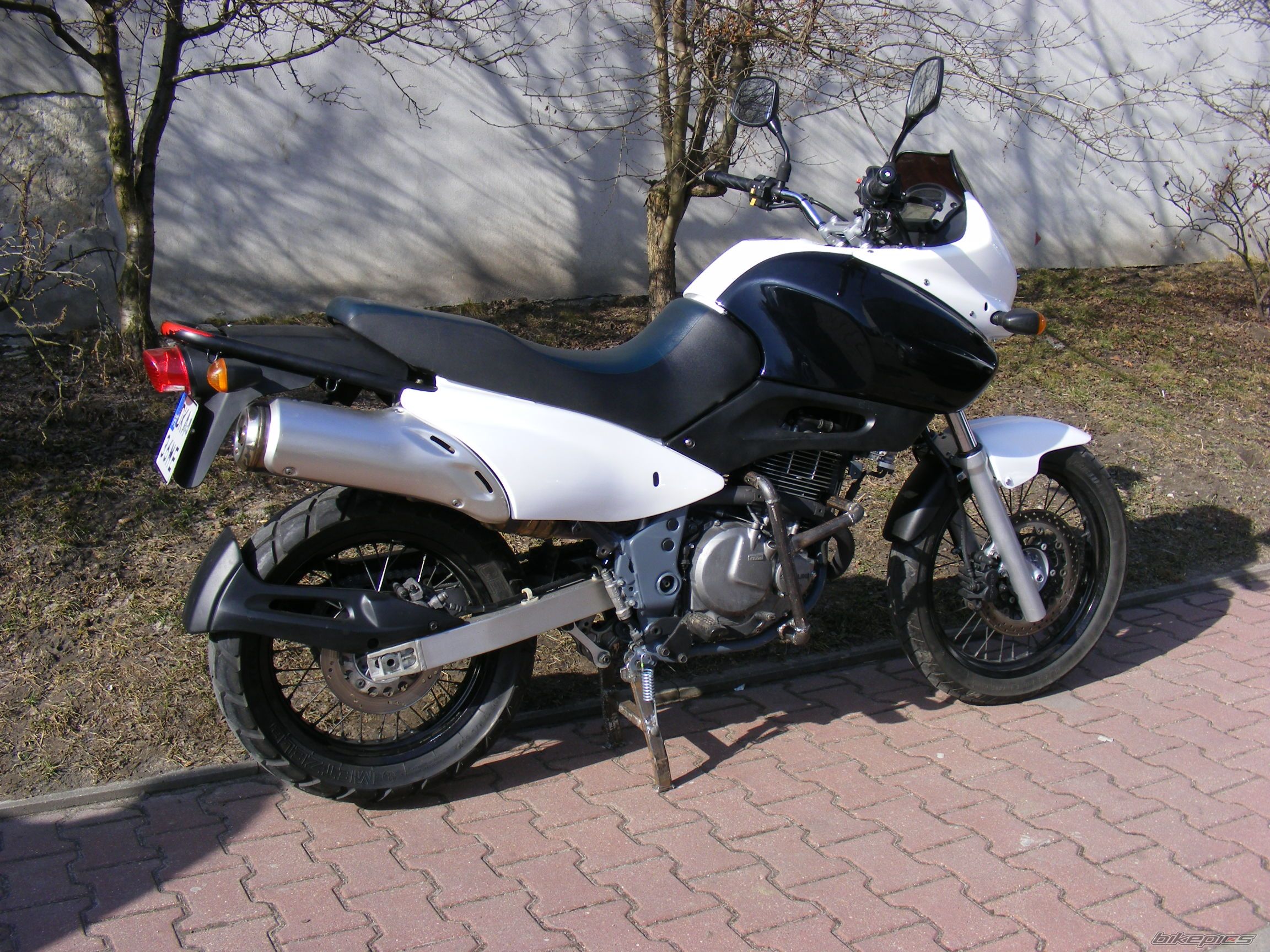 Photo 2359436