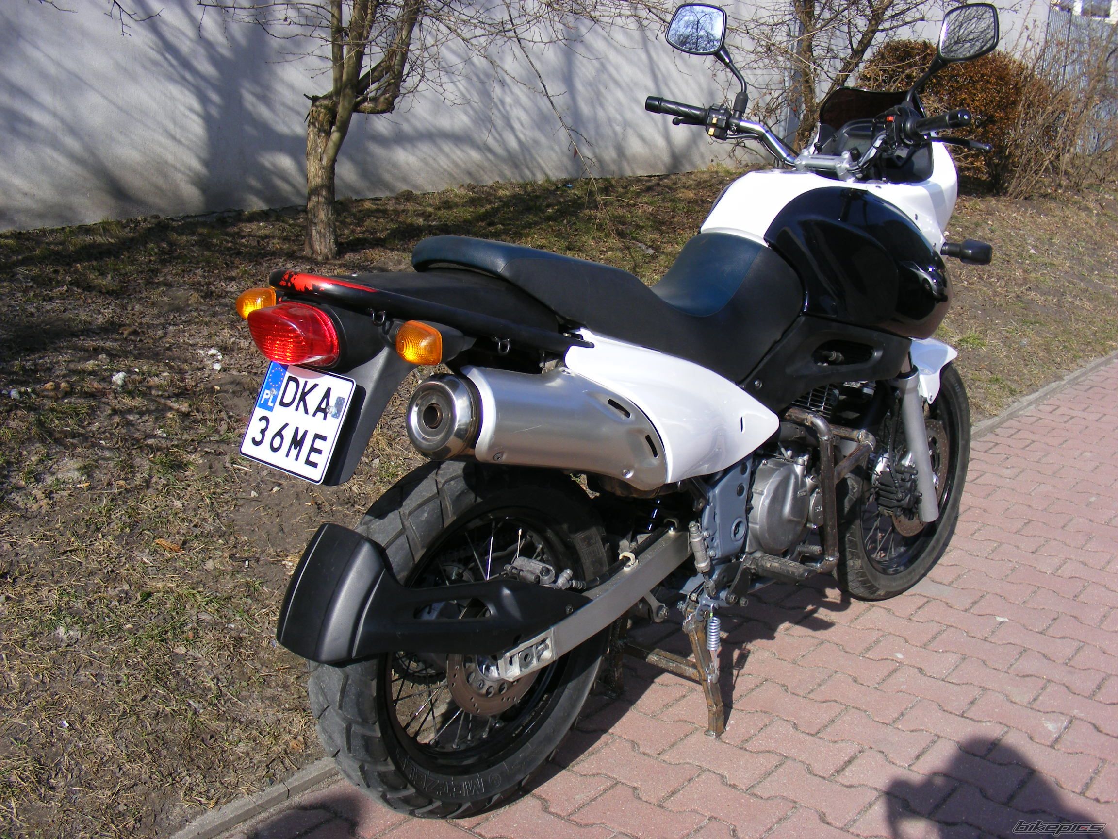 Photo 2359441