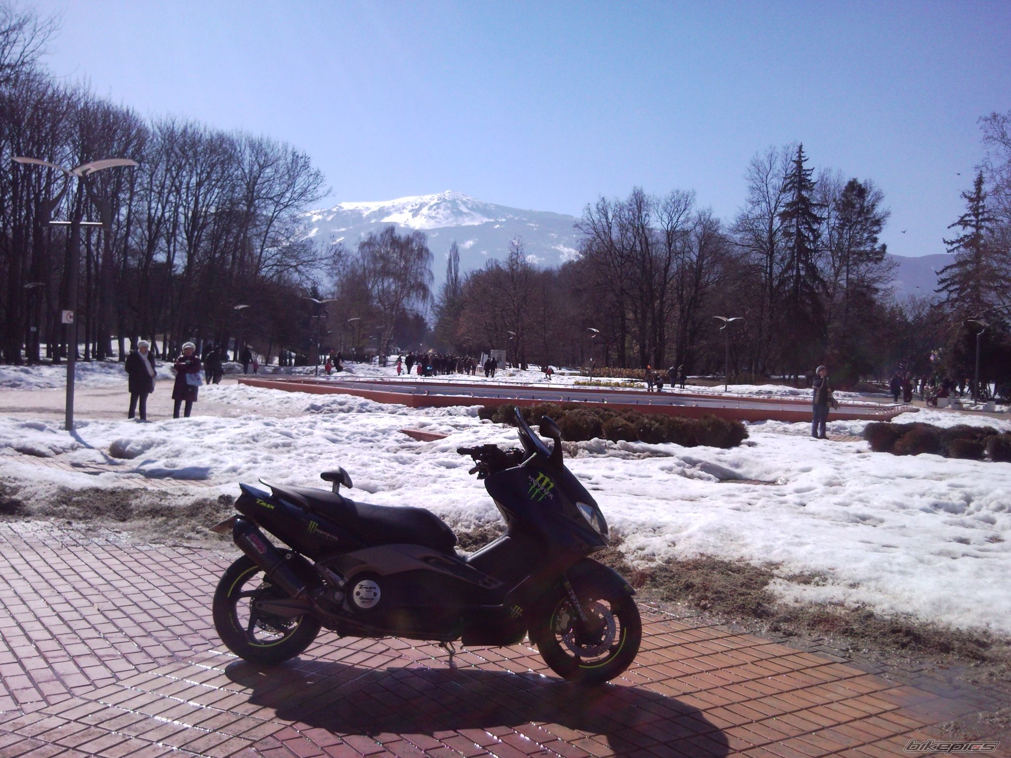 Photo 2359446