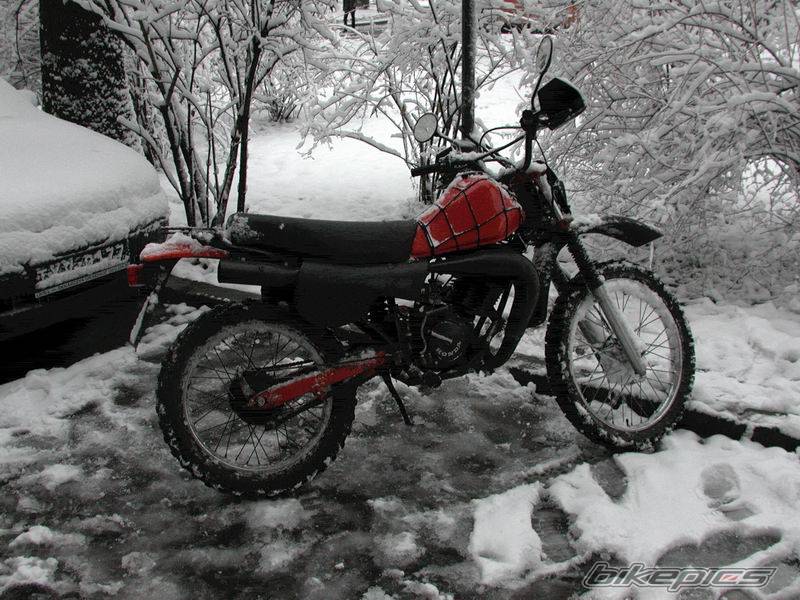 Photo 235949
