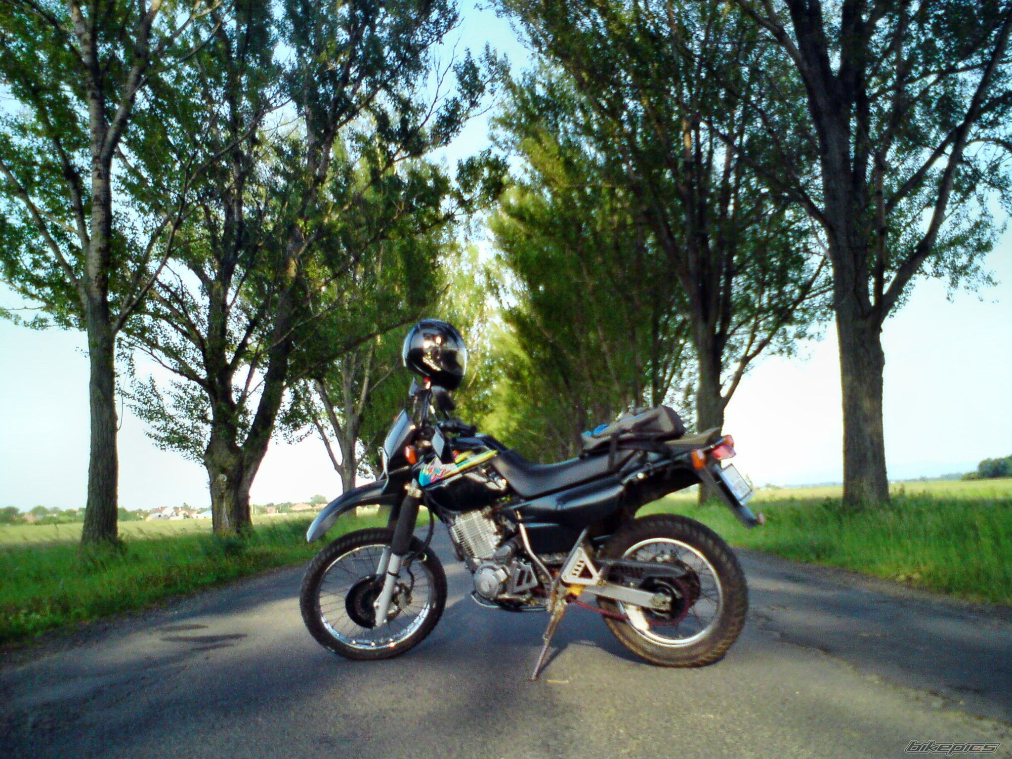 Photo 2359544