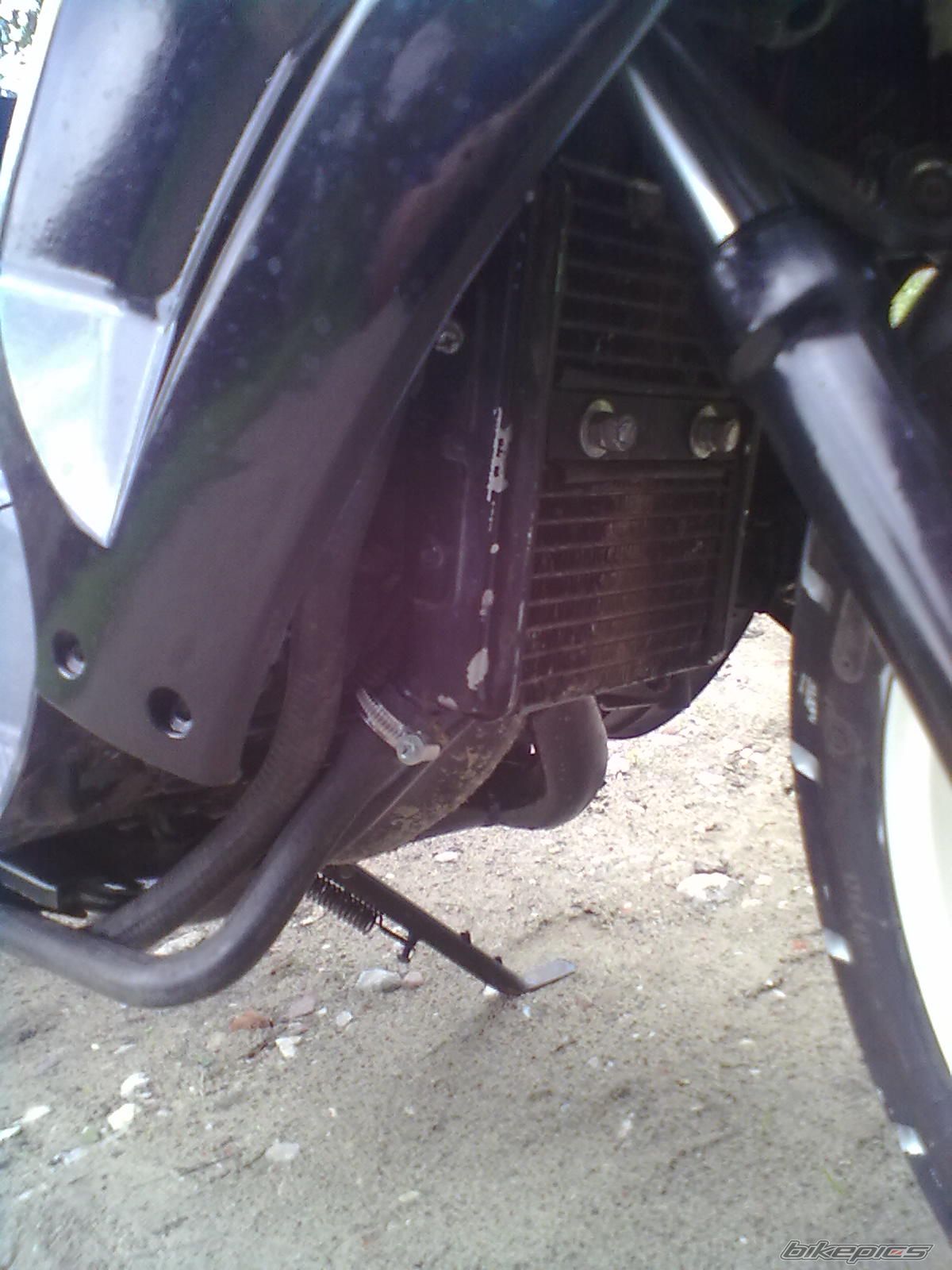 Photo 2359575