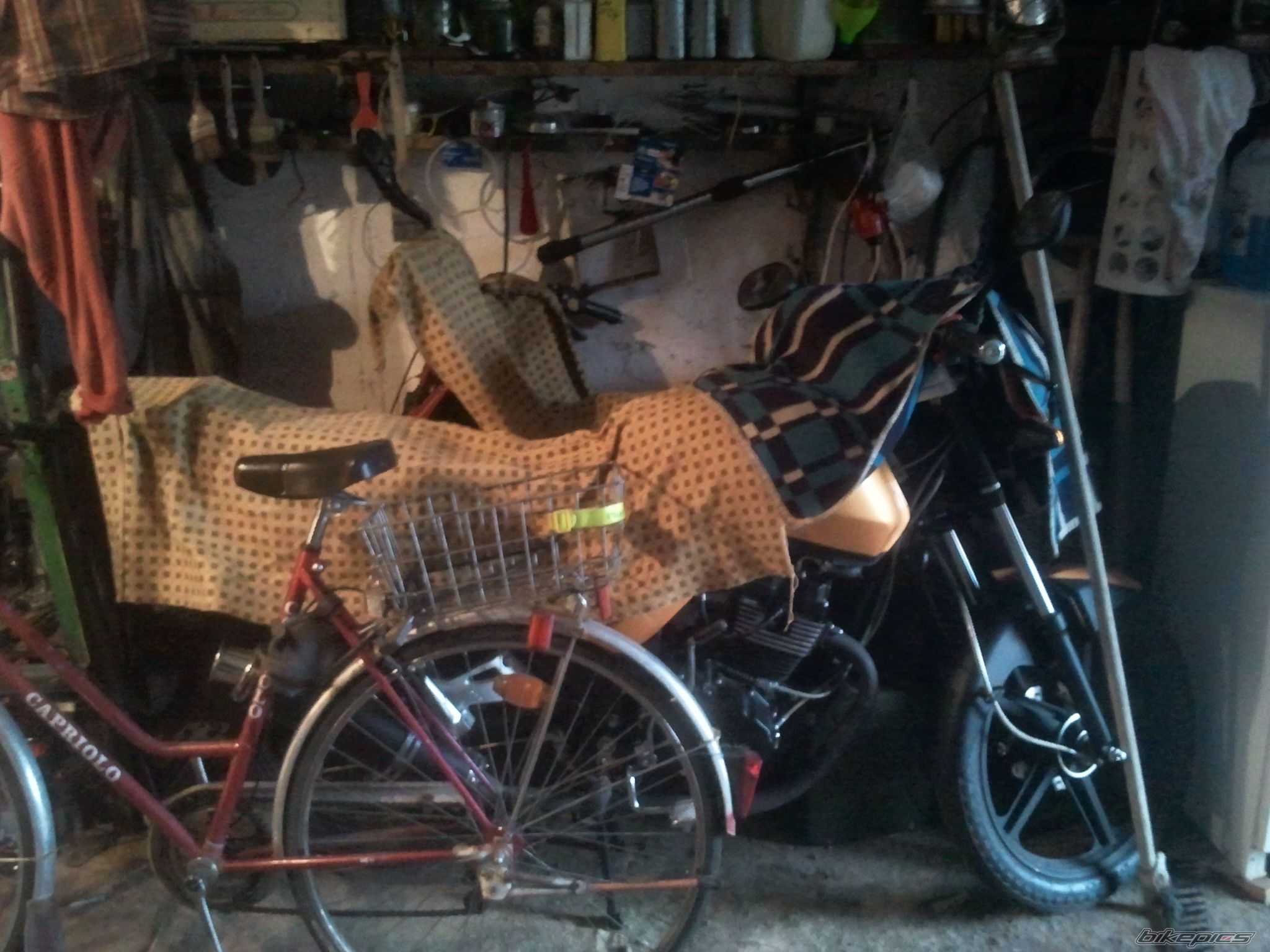 Bike Photo 2359655