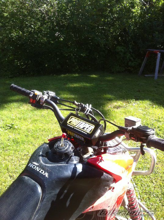Photo 2359704