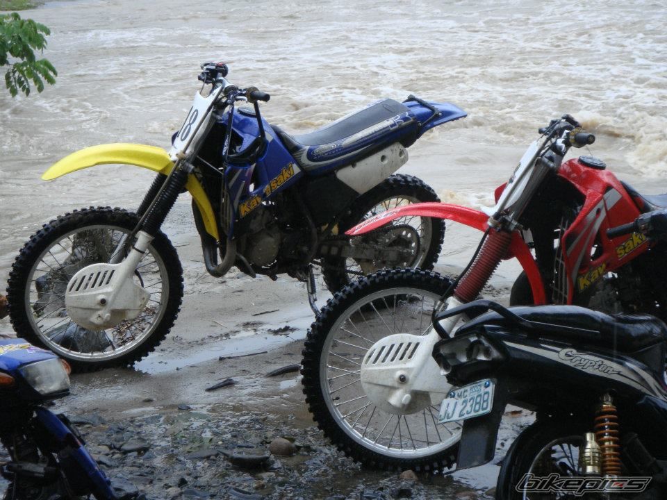 Photo 2359740