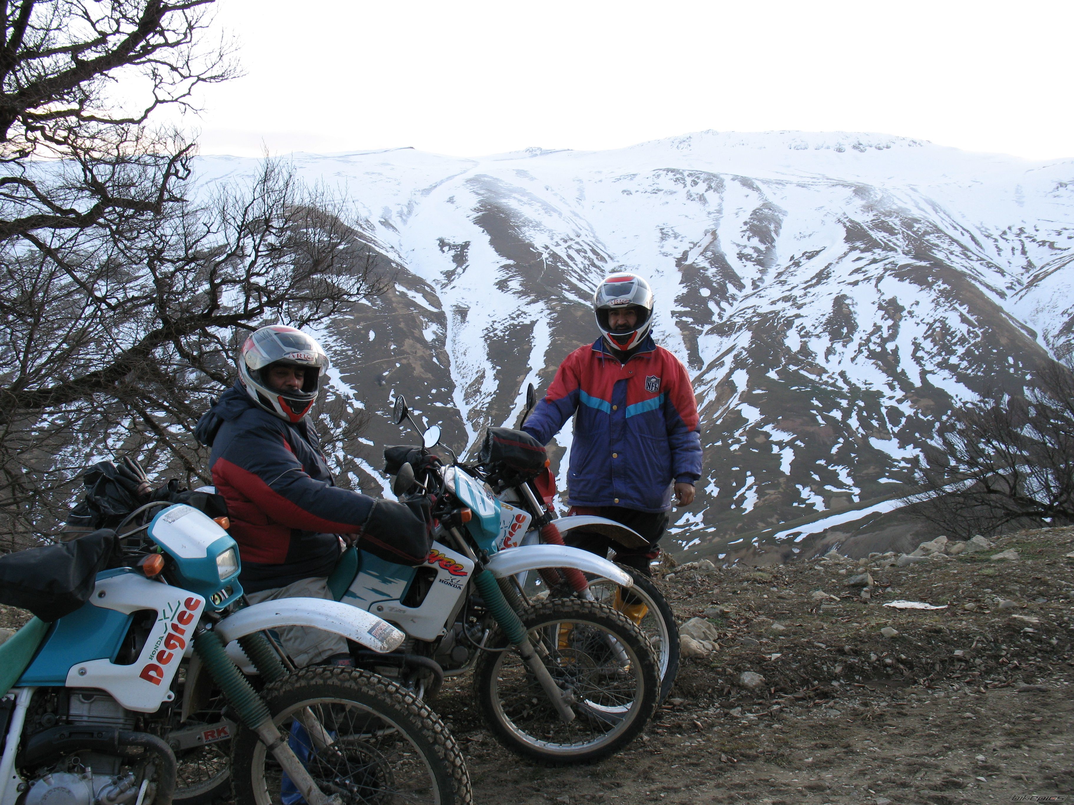 Photo 2359754