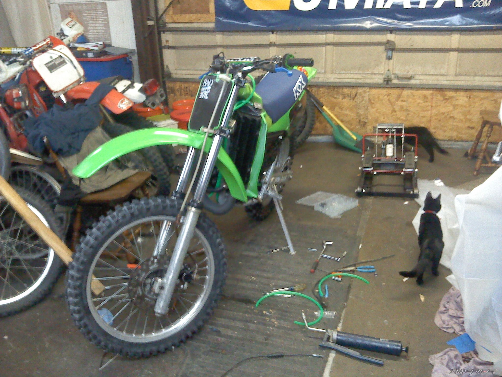 Photo 2359786