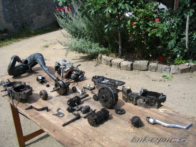 Bike Photo 235979