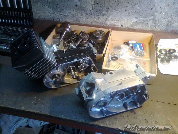 Photo 2359834