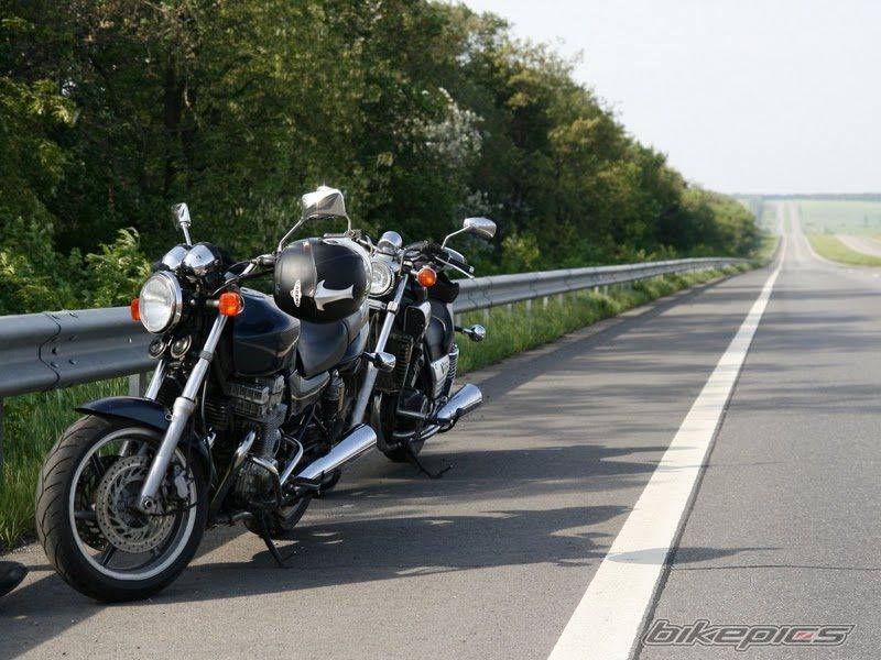 Photo 2359849