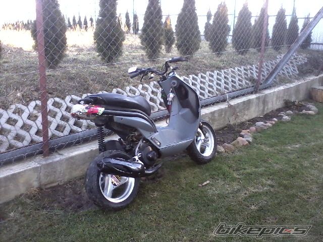 Photo 2359890
