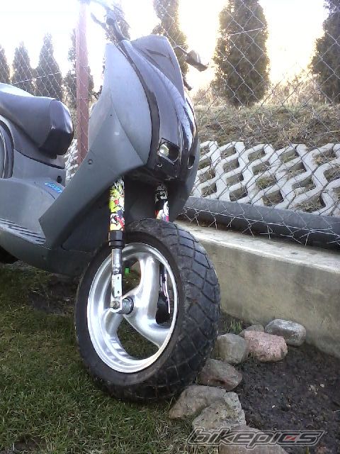 Photo 2359892