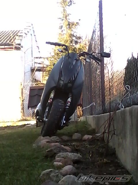 Photo 2359893
