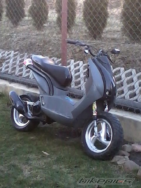 Photo 2359895