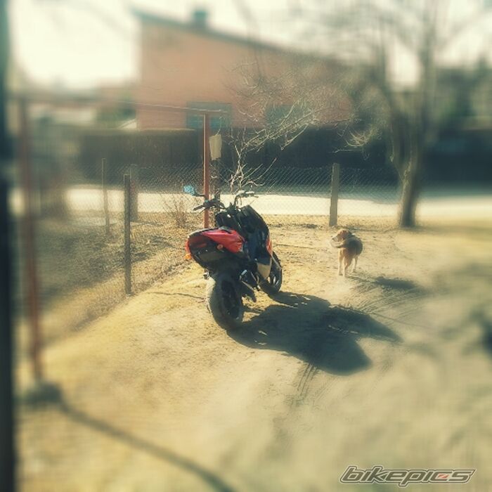 Bike Photo 2359906