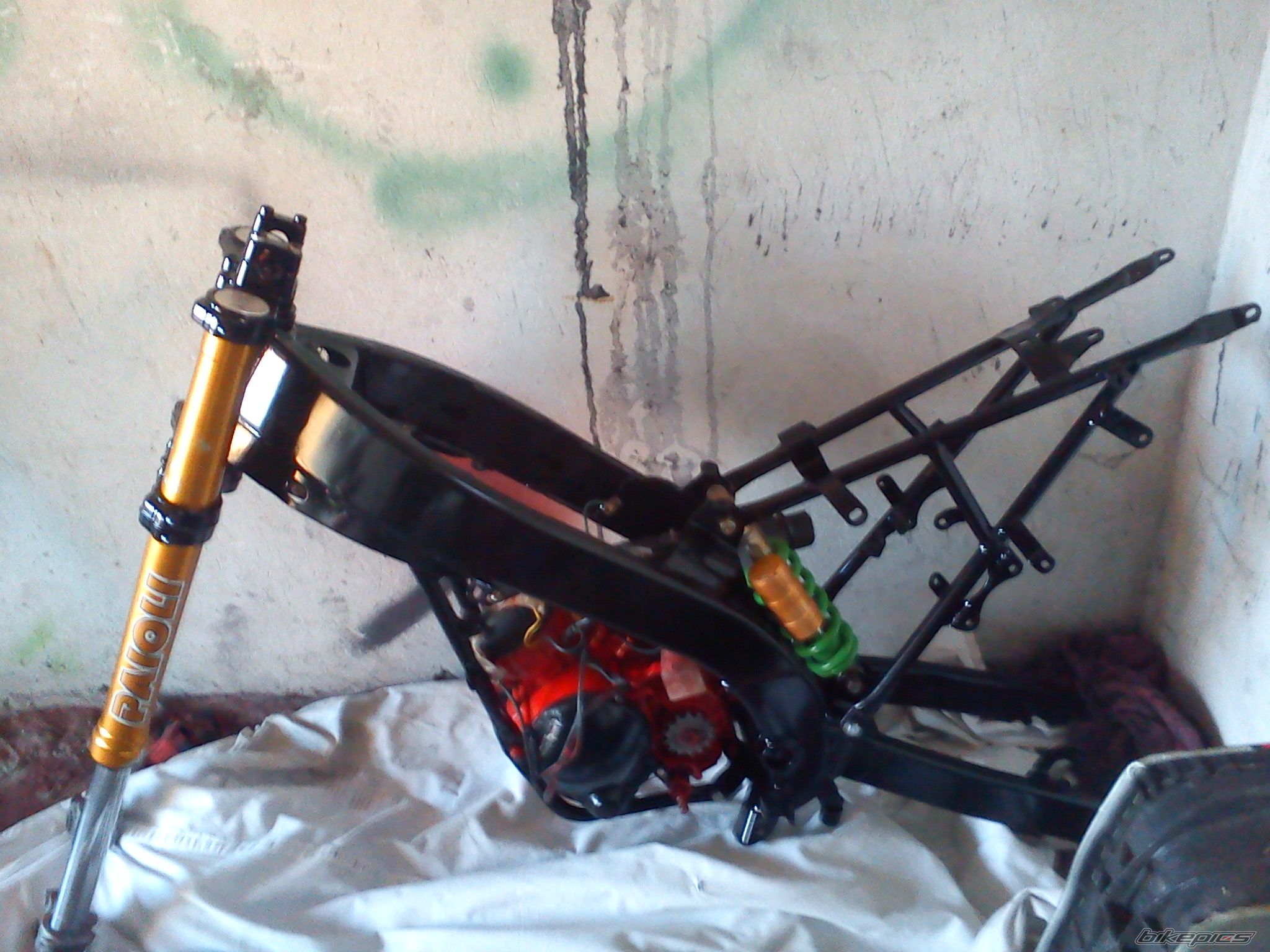 Photo 2359934
