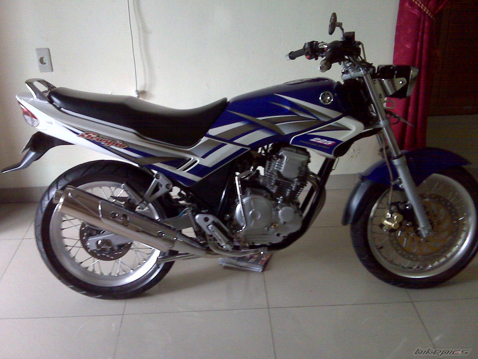 Photo 2359940