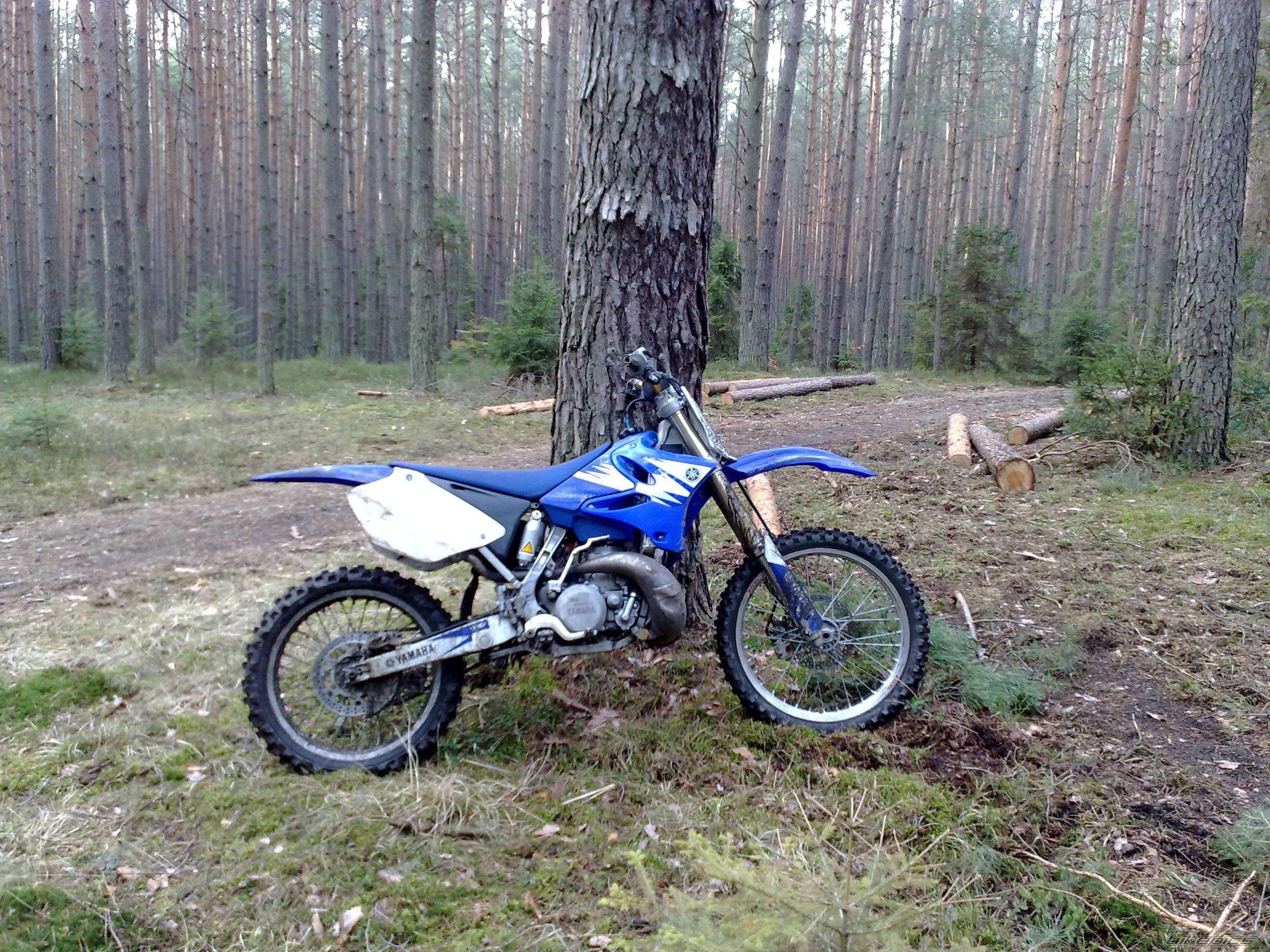 Photo 2359951