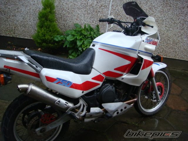Photo 2359982