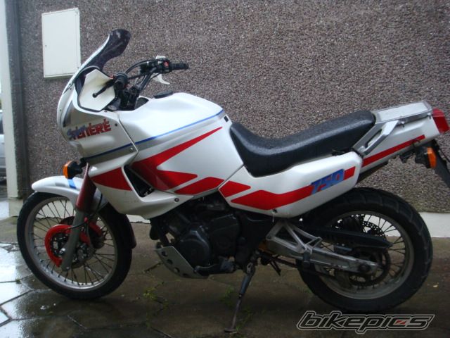 Photo 2359983