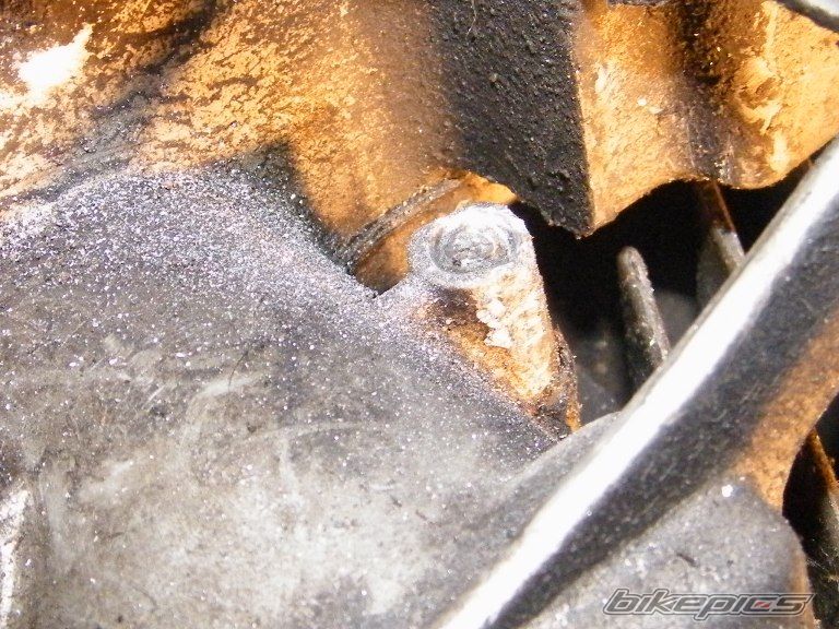 Photo 2359989