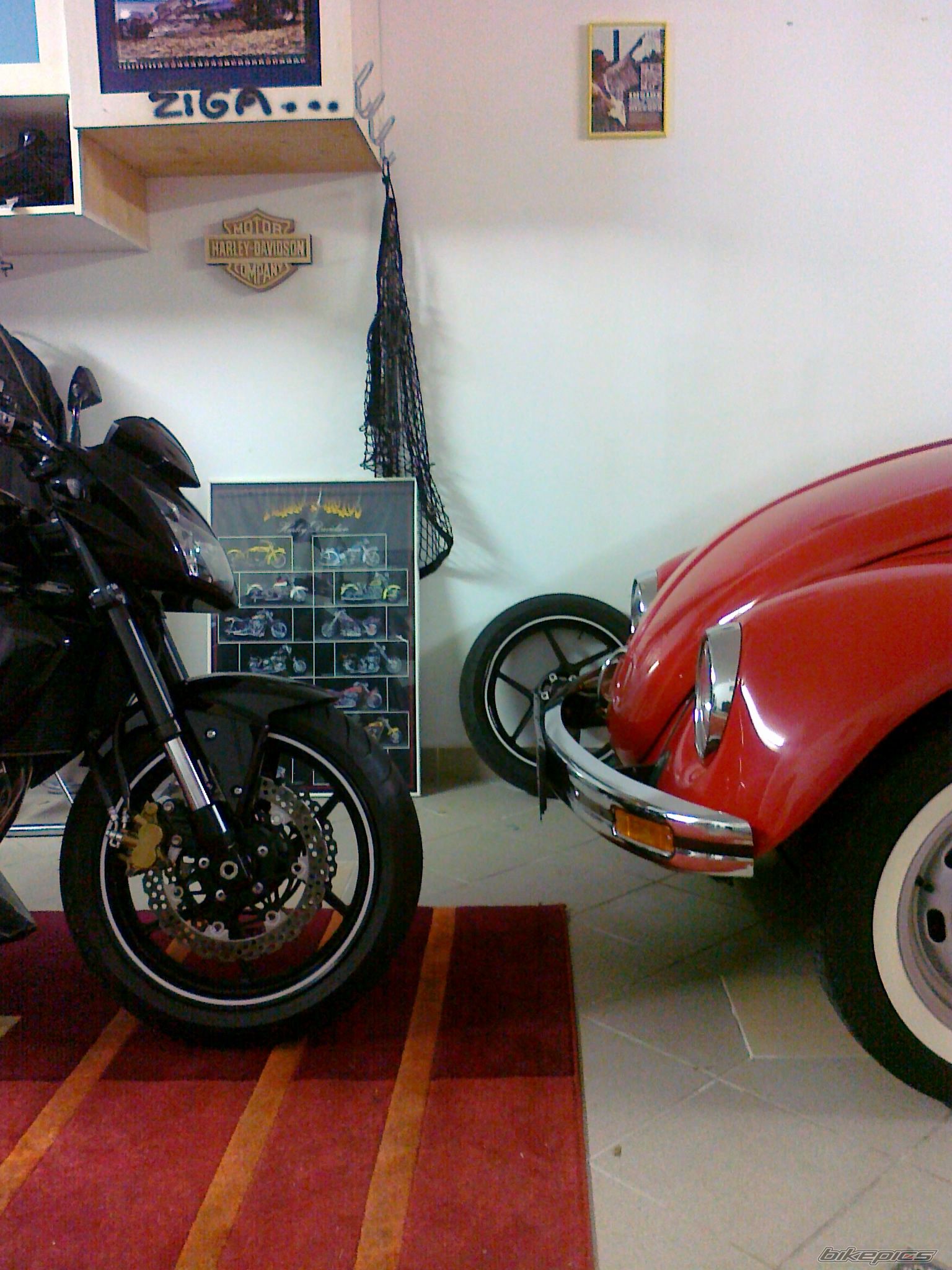 Photo 2359991