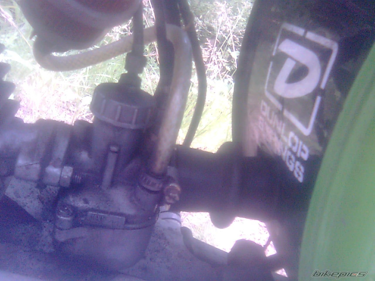 Photo 2360211