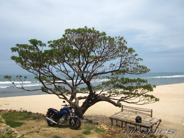 Bike Photo 2360295