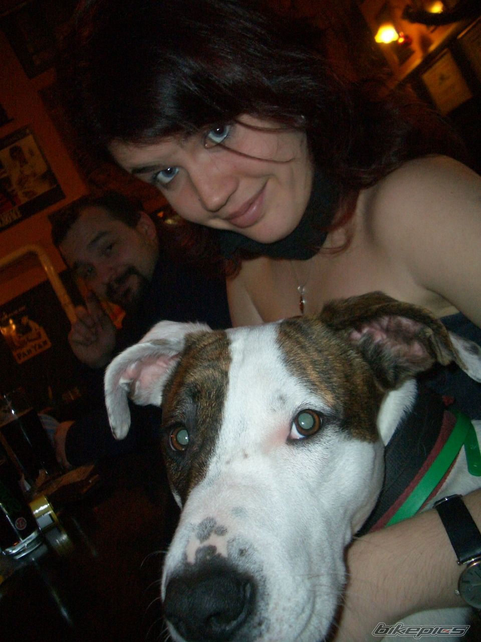 Photo 2360402