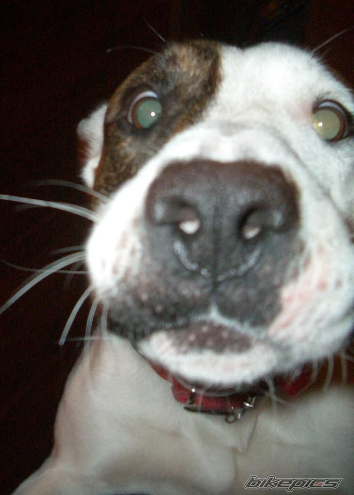 Photo 2360404