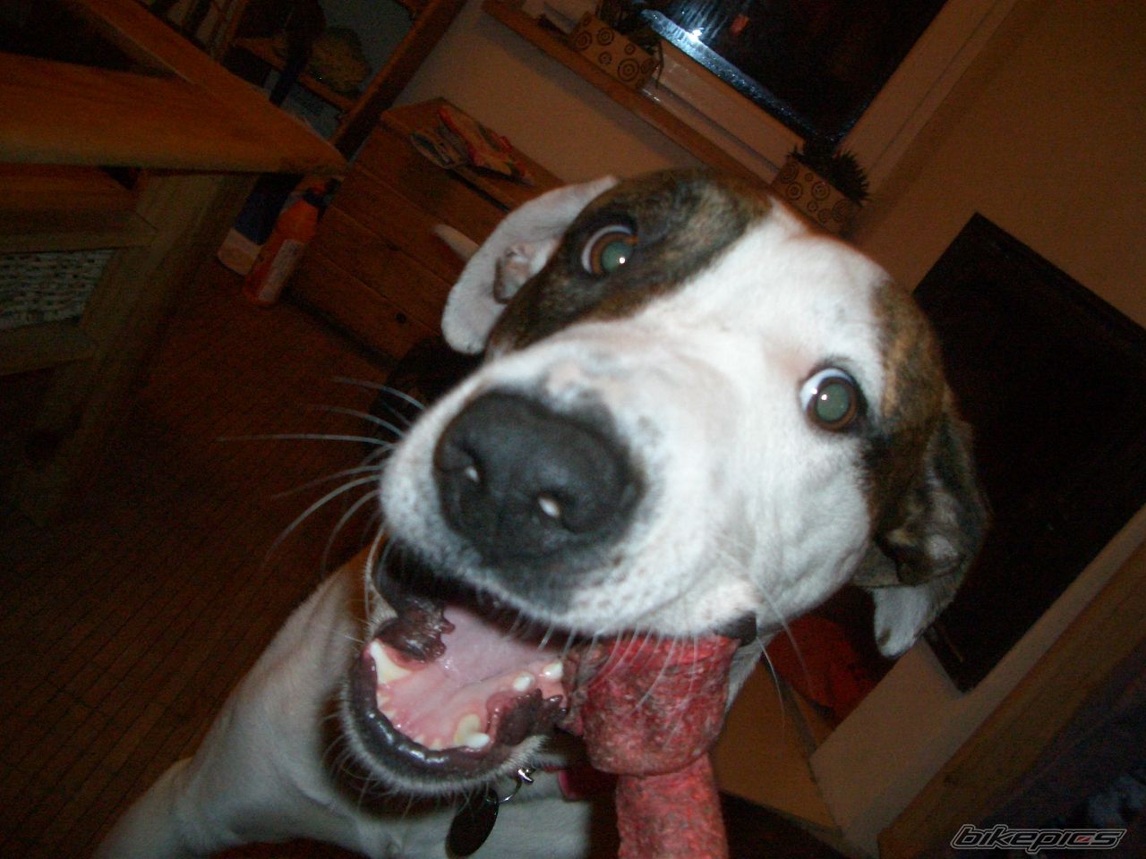 Photo 2360410