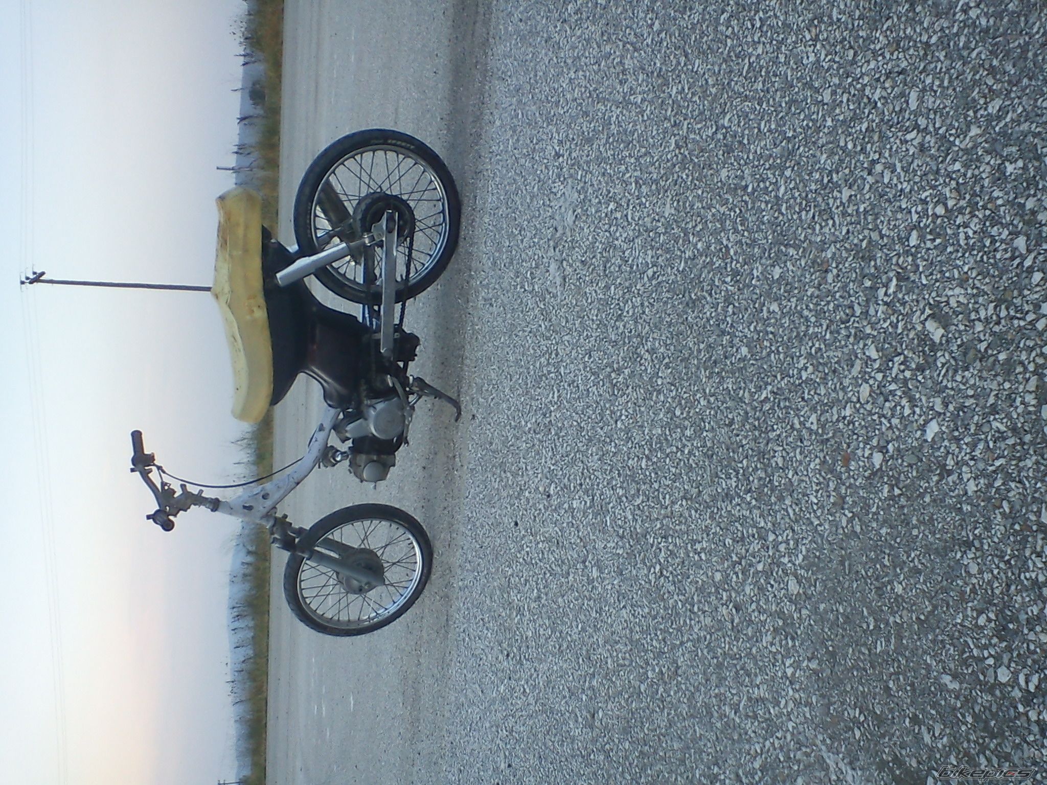 Photo 2360640